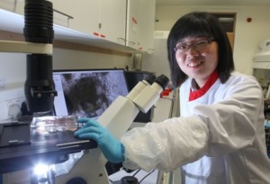 Dr Min Liu, Post-doctoral researcher in Stem Cell Biology, Biomedical Sciences Building at NUI Galway. 